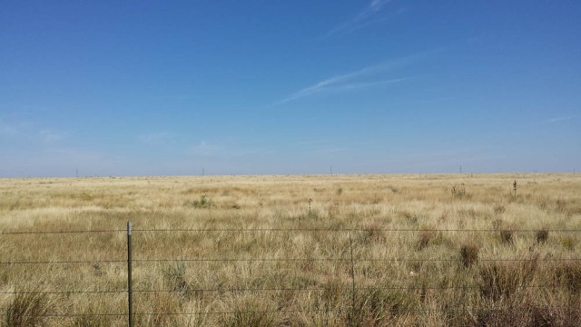 Where the buffalo used to roam, New Mexico.